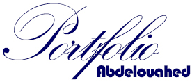  Logo portfolio